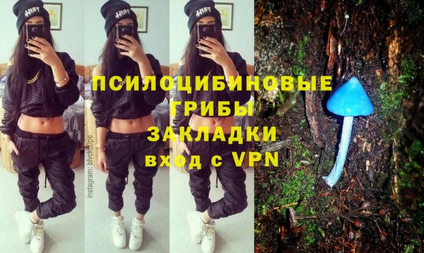бошки Балахна