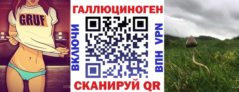 Псилоцибиновые грибы мицелий  Заречный 